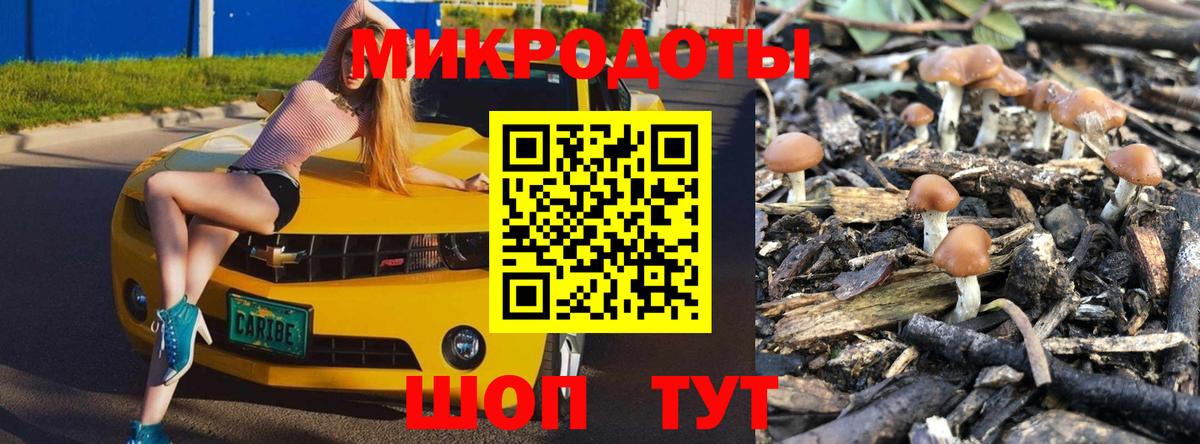 Галлюциногенные грибы Psilocybe  Галлюциногенные грибы GOLDEN TEACHER  Вход с VPN  магазин продажи наркотиков  Барнаул 